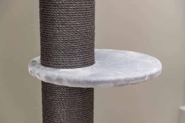 TRIXIE Kratzstamm Mauro